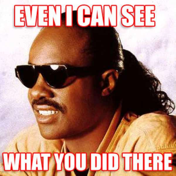 stevie wonder even i can see what you did there. hamilton lindley blog. 